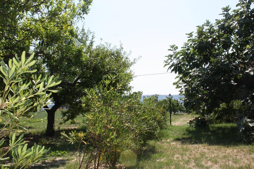 Azienda Agrituristica Biologica Il Querceto Santa Severina Exterior foto