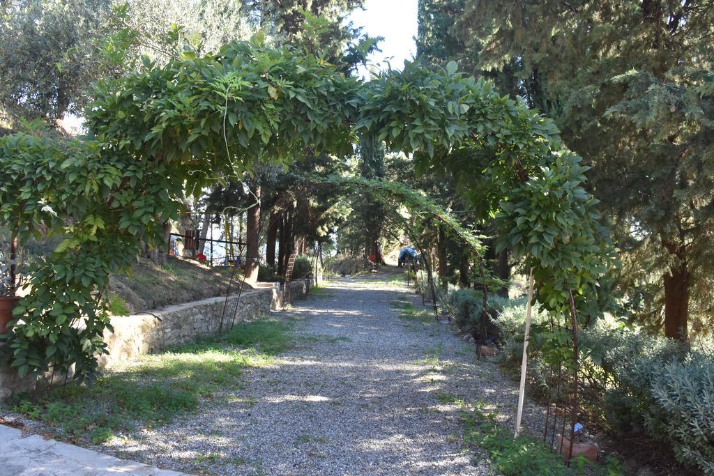 Azienda Agrituristica Biologica Il Querceto Santa Severina Exterior foto